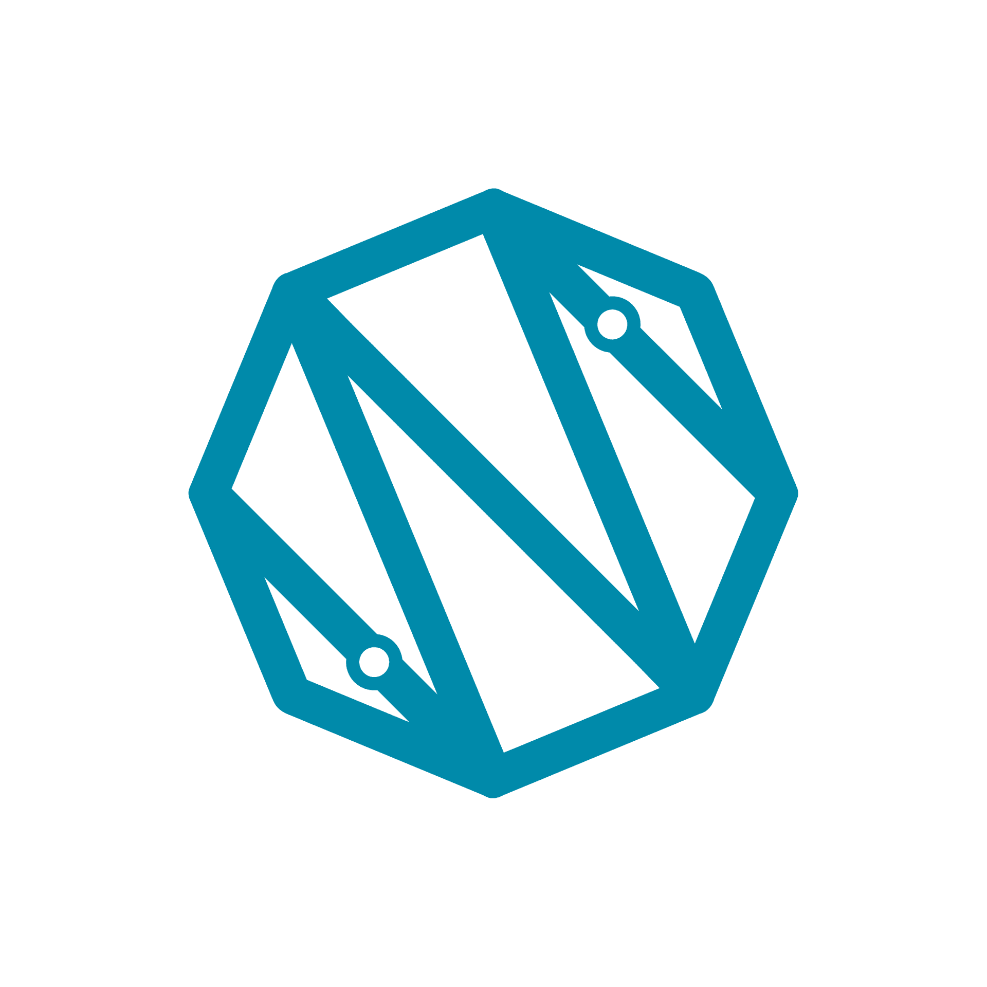 SpinCulture logo